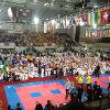 Newcastle Taekwondo — martial arts-studio in Wallsend — 4